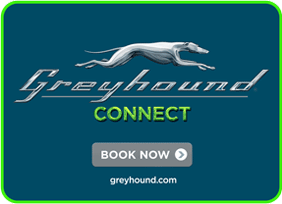 Greyhound-Connect-BOOK-NOW